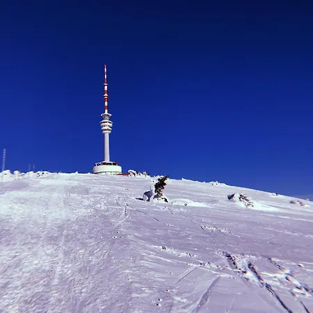 Domek alpejski Chatavjesenikach *